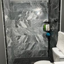 Shower Renovation 1